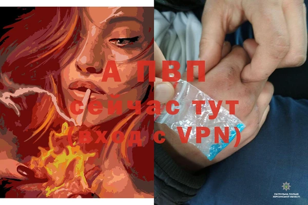 МДПВ Покачи