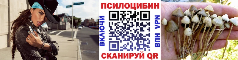 Псилоцибиновые грибы мухоморы  цены наркотик  Скопин 