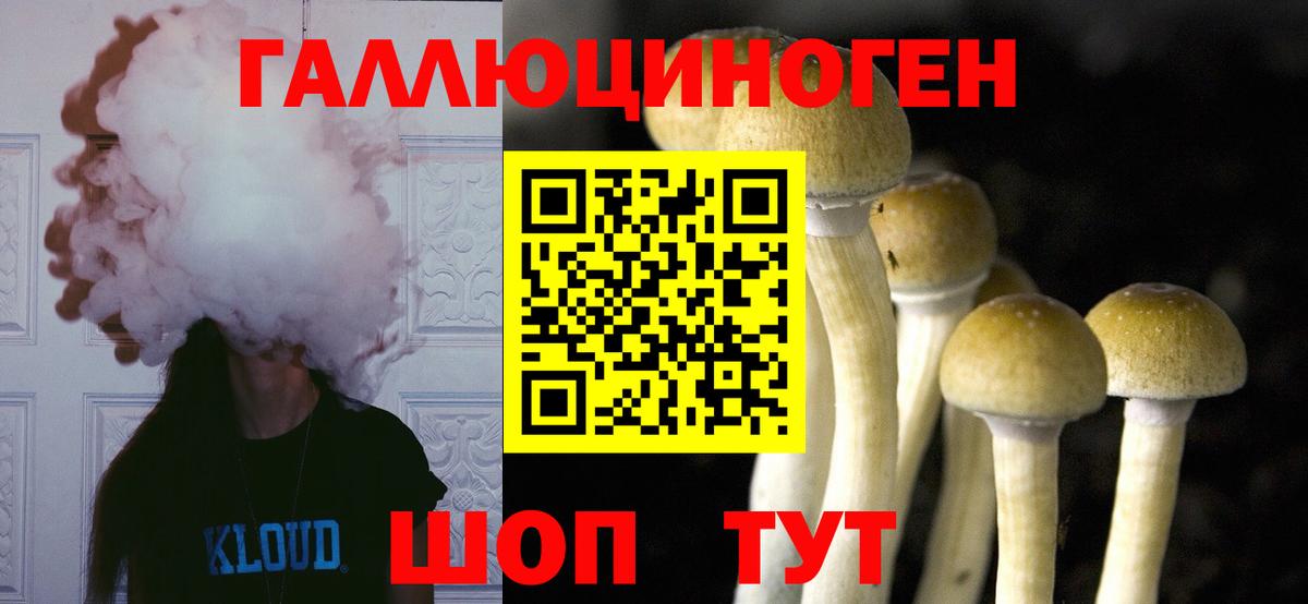 Псилоцибиновые грибы Psilocybine cubensis Скопин