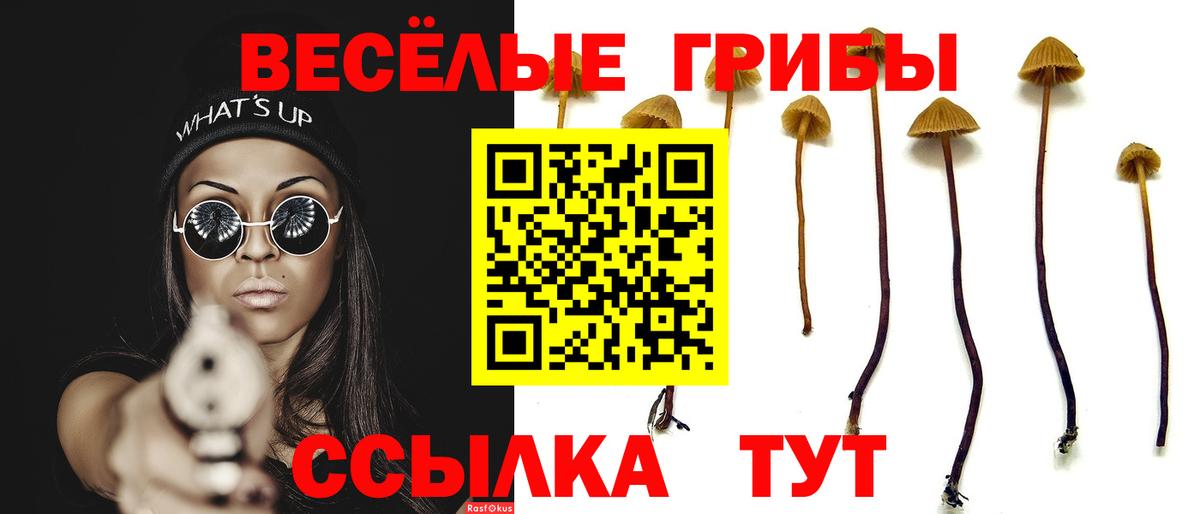 Галлюциногенные грибы Psilocybine cubensis  продажа наркотиков  Скопин  Вход с VPN 